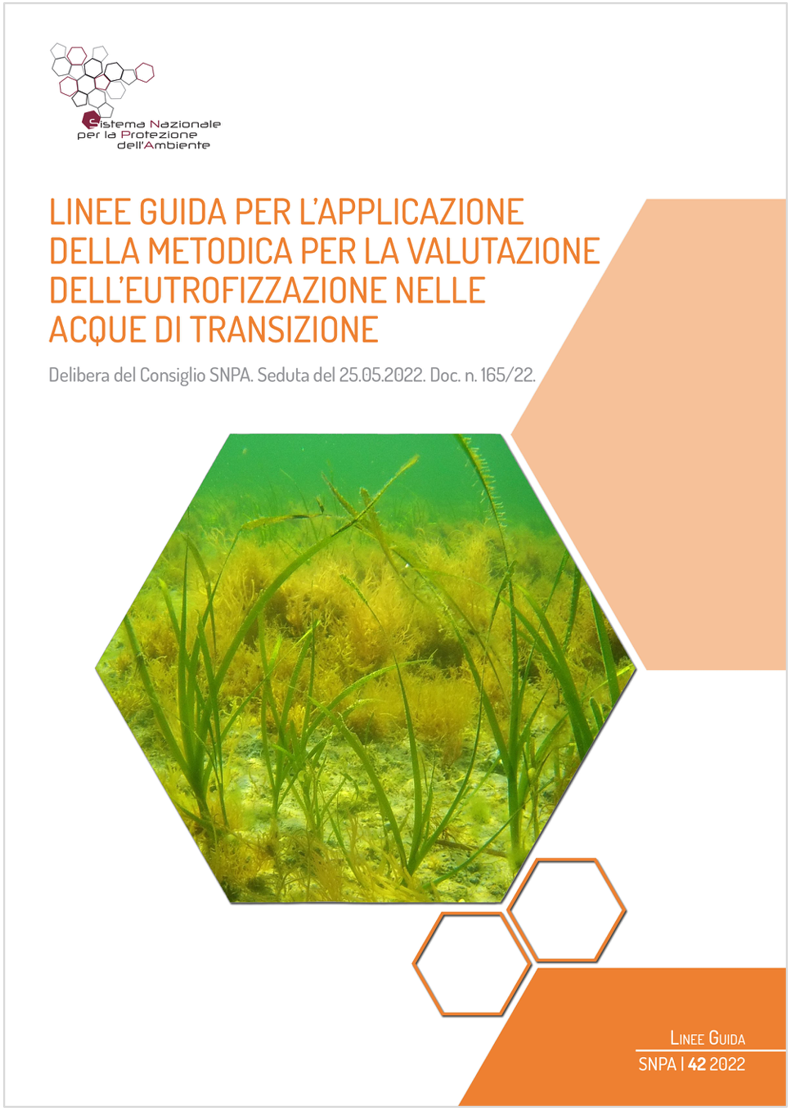 Linee guida SNPA 42 2022