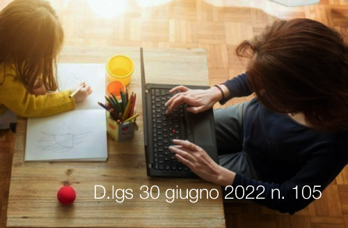 D lgs  30 giugno 2022 n  105