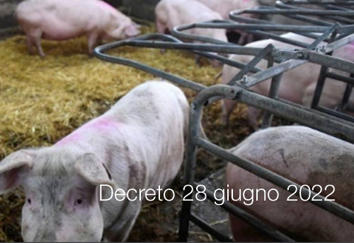 Decreto 28 giugno 2022