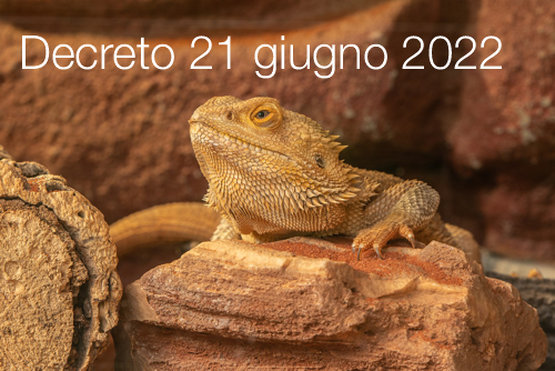 Decreto 21 giugno 2022