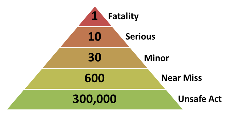 Bird safety triangle