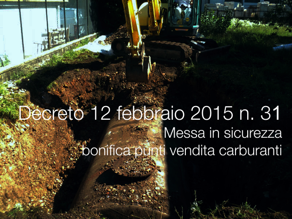 Decreto 12 febbraio 2015 n  31