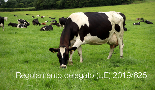 Regolamento delegato UE 2019 625