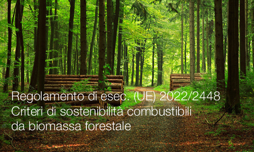 Regolamento di esec  UE 2022 2448