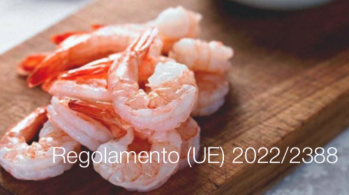 Regolamento UE 2022 2388