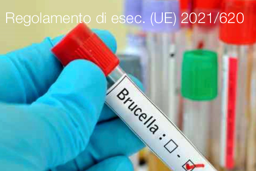 Regolamento di esecuzione UE 2021 620