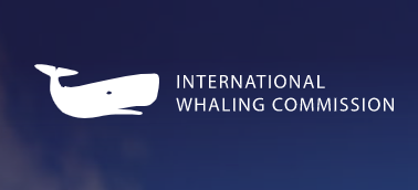 The International Whaling Commission  IWC 