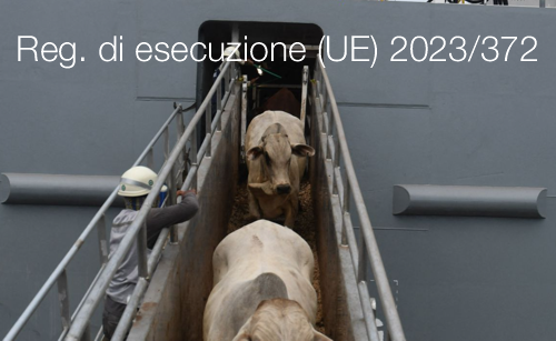 Regolamento di esecuzione UE 2023 372