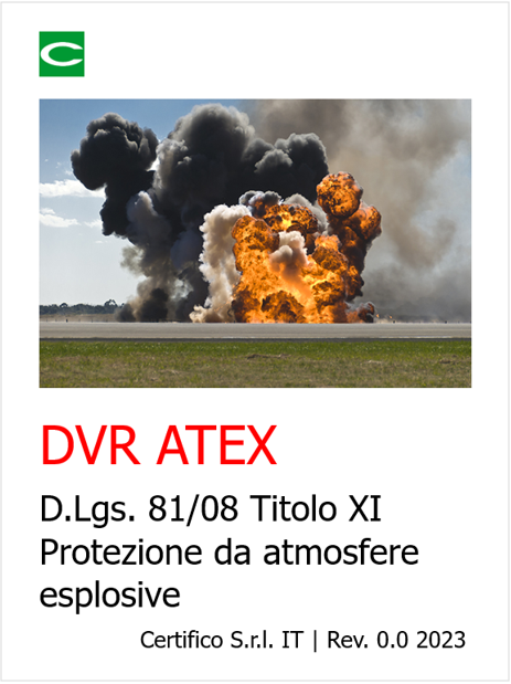 ID 19207 DVR Atex Titolo XI 