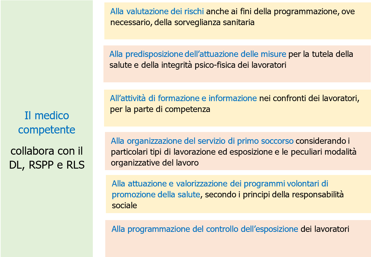 Vademecum medico competente   Schema 1