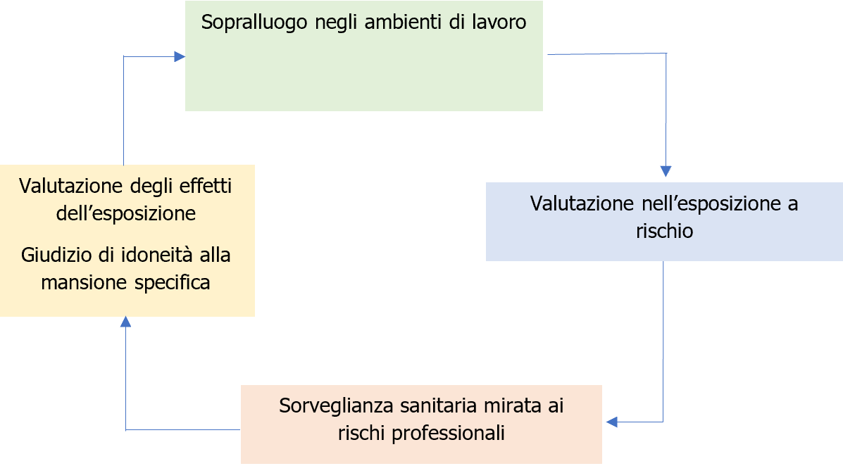 Vademecum medico competente   Schema 4