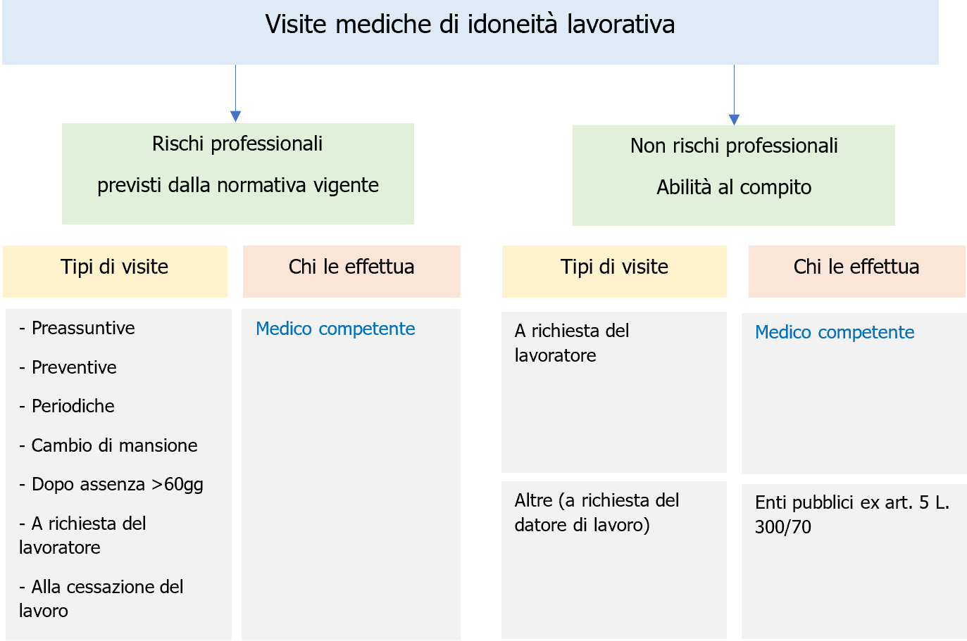 Vademecum medico competente   Schema 6