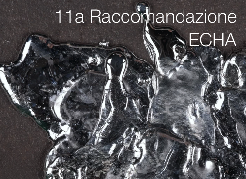 11a Raccomandazione ECHA