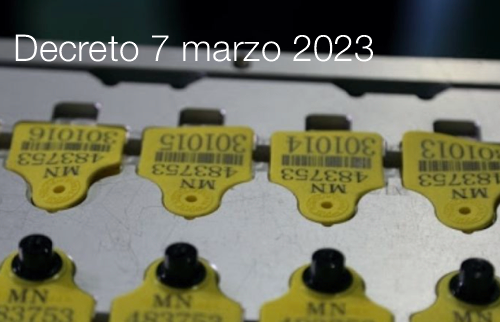 Decreto 7 marzo 2023