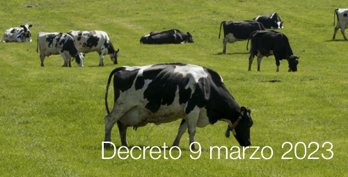 Decreto 9 marzo 2023