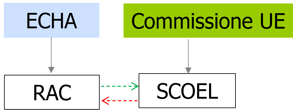 Fig  1   Comitati ECHA  Valutazione sostanze chimiche  e Commissione UE  Sostanze chimiche lavoro 