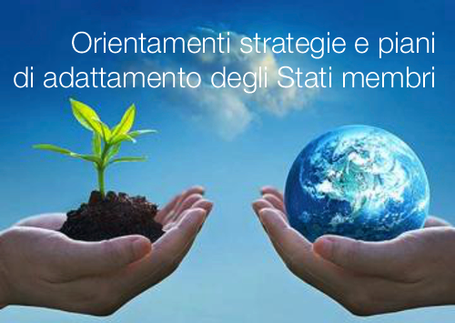 Orientamenti in materia di strategie e piani di adattamento degli Stati membri