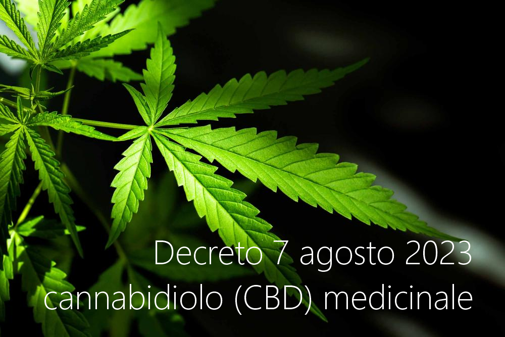 Decreto 7 agosto 2023