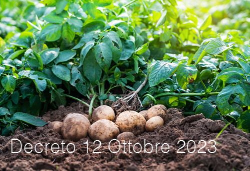 Decreto 12 ottobre 2023