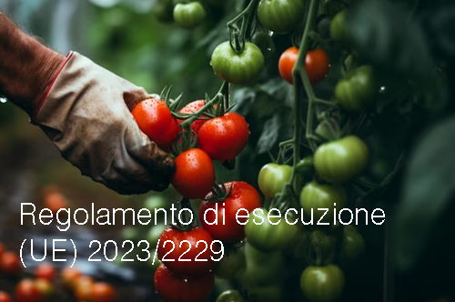 Regolamento di esecuzione  UE  2023 2229