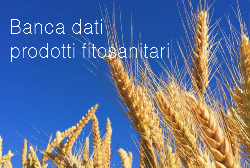 Banca dati dei prodotti fitosanitari