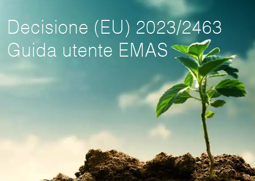 Decisione  EU  2023 2463