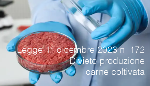 Legge 1  dicembre 2023 n  172