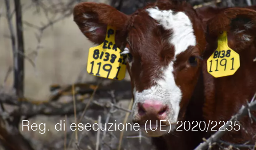 Regolamento di esecuzione  UE  2020 2235