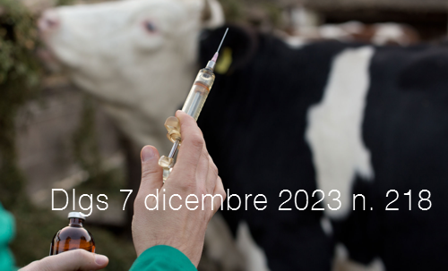 Decreto Legislativo 7 dicembre 2023 n  218