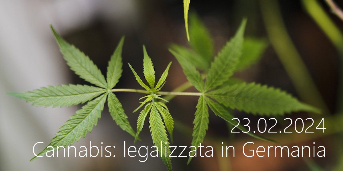 Cannabis legalizzata in Germania   23 02 2024