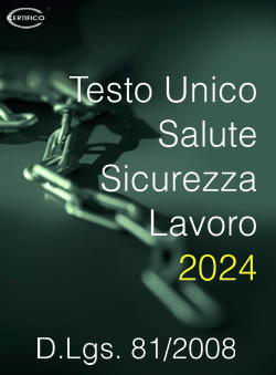 D.Lgs. 81/2008 Testo Unico Salute e Sicurezza Lavoro