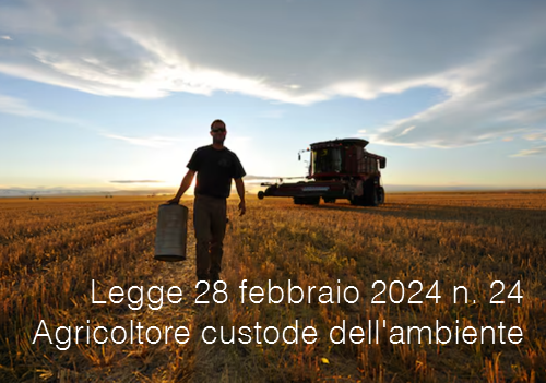 Legge 28 febbraio 2024 n  24