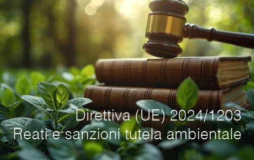 Direttiva UE 2024 1203