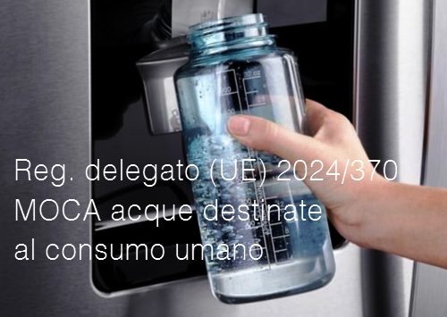 Regolamento delegato  UE  2024 370