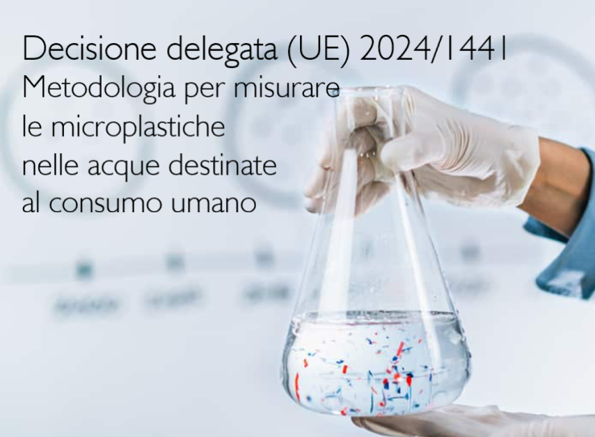 Decisione delegata  UE  2024 1441