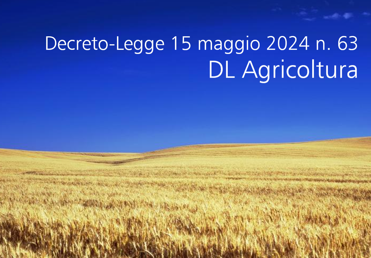 Decreto Legge 63 2024