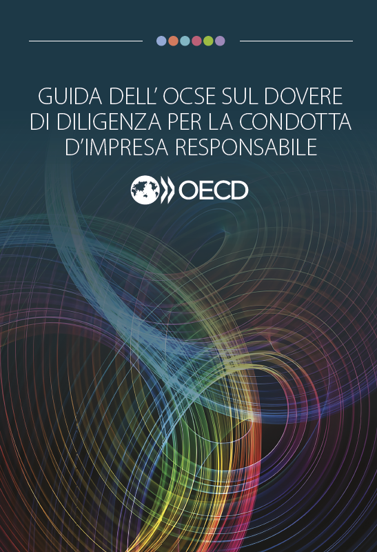 Guida OCSE sul dovere di diligenza  due diligence  per la condotta responsabile d impresa