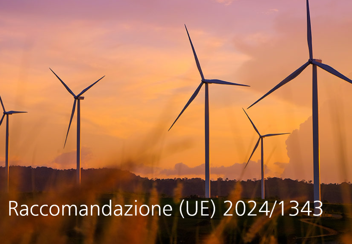 Raccomandazione  UE  2024 1343