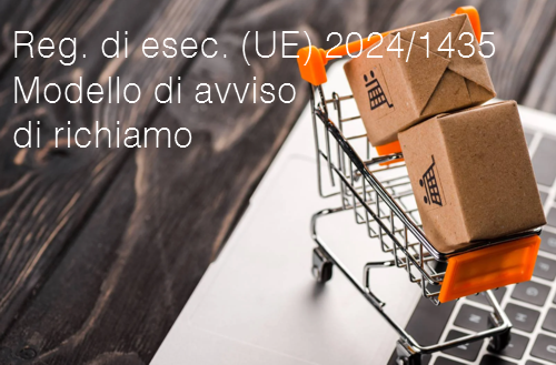 Regolamento di esec   UE  2024 1435