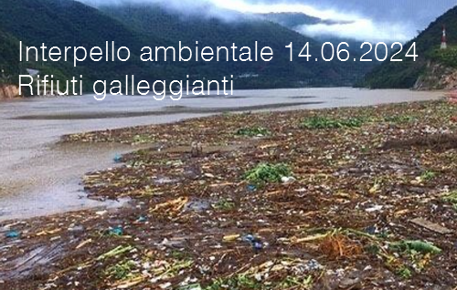 Interpello ambientale 14 06 2024   Rifiuti di origine vegetale galleggianti