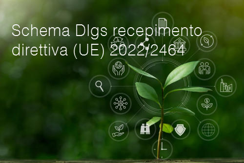 Schema Dlgs recepimento Direttiva 2022 2464