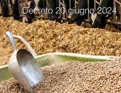 Decreto 20 giugno 2024