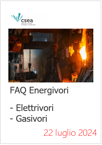 FAQ Energivori  Elettrivori Gasivori  22 luglio 2024