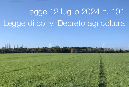 Legge 12 luglio 2024 n  101