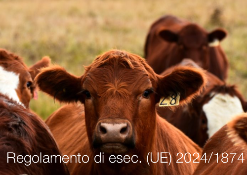 Regolamento di esecuzione  UE  2024 1874