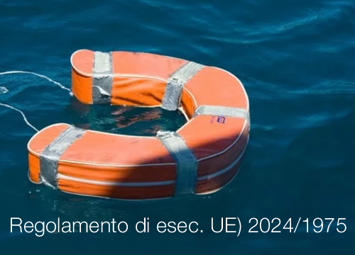 Regolamento di esecuzione  UE  2024 1975