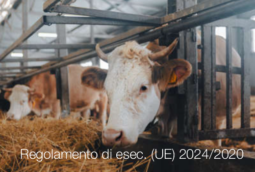 Regolamento di esecuzione  UE  2024 2020