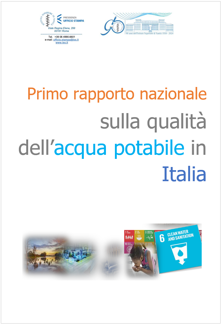 1  Rapporto Centro Nazionale per la Sicurezza delle Acque CeNSiA