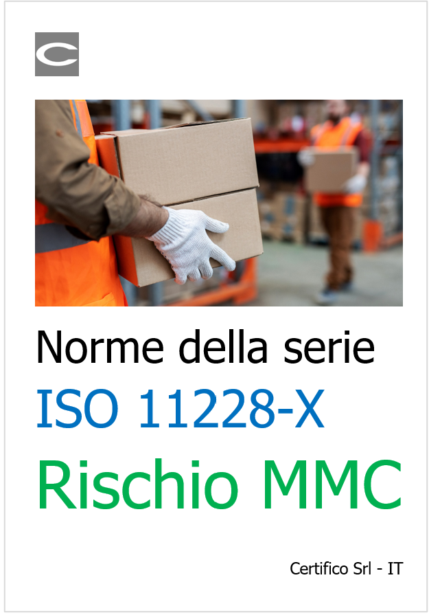 Norme serie ISO 11228 X