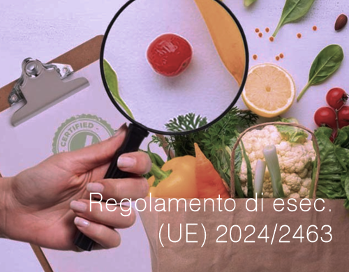 Regolamento di esecuzione  UE  2024 2463